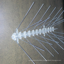 Stainless Steel Bird Spikes